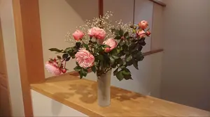 美品　エルメス　シルク　ベスト　マンジェラ期　クリーニング済 美品 エルメス シルク ベスト マンジェラ期 クリーニング済 - メルカリ