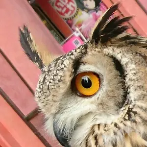 ちまき屋