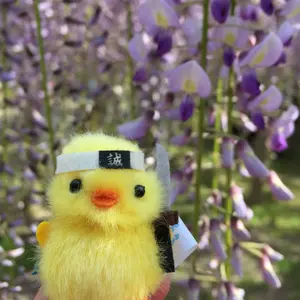 光萌窯 中西申幸 四つ葉絵皿 中 チュン 鳥遊戯画 器 皿 鳥