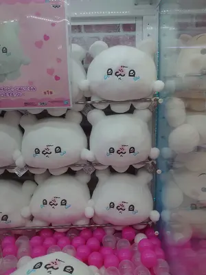 2022 BBM ルーキーエディション レギュラー インサート バラ