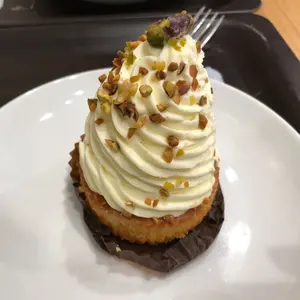 クリニカルニューロダイナミクス : 神経筋骨格障害の新しい評価・治療