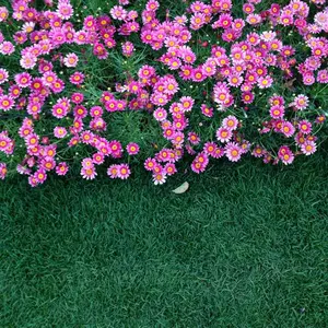 古書☆Melody♪ A Kaleidoscope of Crystals - メルカリ