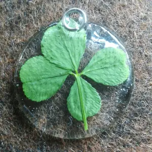 タマゴタケページ 品種は、ブラウンターキー タマゴタケ様専用ページ 品種は、ブラウンターキー - メルカリ