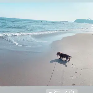 &TEAM 縁DAY ユニフォーム＋タオル NICHOLAS☆ニコラス☆ - メルカリ