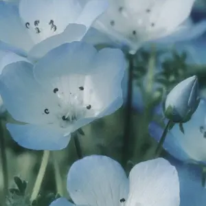 syudou孤独毒毒 缶バッジ - メルカリ