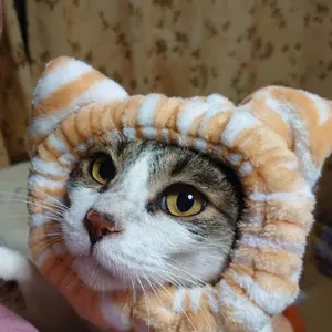 出品祭 開催中！プロフ必読！ 様専用JINパワー100 8g 粉猫用 - メルカリ