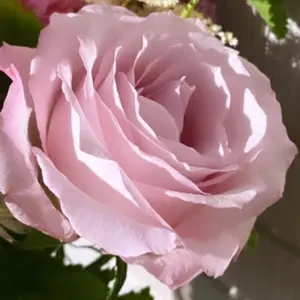 お値下げ❗️濃いめ発色♡ルビー　スフィア　丸玉　置物　インテリア 濃いめ発色♡ルビー スフィア 丸玉 置物 インテリア - メルカリ