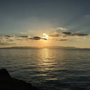 ヴァイス ホロライブ 雪花ラミィ SP SSP PSA10 まとめ売り - メルカリ