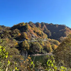 川中島バス長野市内用 後面方向幕 - メルカリ