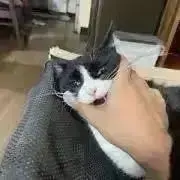 こうすけ
