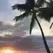 出来る限り即日発送‎⭕️まとめ値引き⭕️