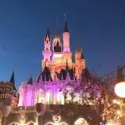 ちゃこ＠犬猫ペットフード格安出品中♪