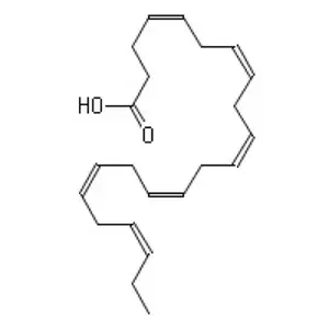 ヌルヌルジーベン