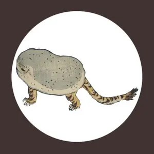 福岡ソフトバンクホークス 実使用 帽子 キャップ ホークス 球団支給品