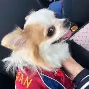 サンダー R BW3 ヘイルブリザード 025/052 - メルカリ