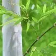 No271たま様専用三角お屋根のFLOWERS MARKET FRESH 棚5段 - メルカリ No271たま様専用三角お屋根のFLOWERS MARKET FRESH 棚5段 - メルカリ