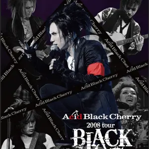 Acid Black Cherry パーカー/LツアーTシャツ - メルカリ