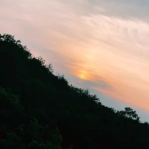 アンダーアーマー 日本ハムファイターズ万波中正選手実使用バット