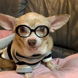 ★yokko★スコットクラブ soeur フレアスカート他刺し子完成品2点 ☆yokko様専用☆スコットクラブ soeur フレアスカート他刺し子完成品2