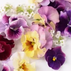 アザレ　UV PROTECT MILK SPF 41　2個セット、セレクションＨ アザレ UV PROTECT MILK SPF 41 2個セット アザレプロダクツ岩手