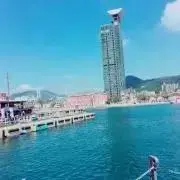 ロサンゼルス・ドジャース ワンピースコラボカード 【現地直接獲得