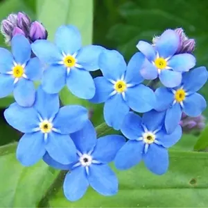 古着屋『hamham』即購入OK！