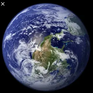 ラスト1点】新品未試着US8激安リーニン WOW Dlo1 Mamba マンバ - メルカリ