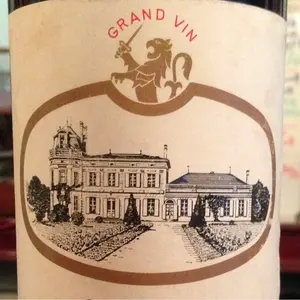 太極気功螺旋棒 元気すぎてゴメンナサイ! 林杰 陳式心意混元太極拳　馮志強 Amazon.co.jp: 太極気功螺旋棒 元気すぎてゴメンナサイ! : 林 杰: 本