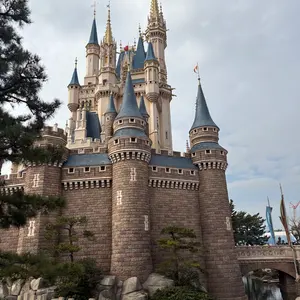 プロセカ 白石杏 まとめ売り（値下げバラ売り可） - メルカリ