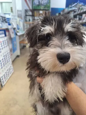 るるぶ(コメ下さい！)