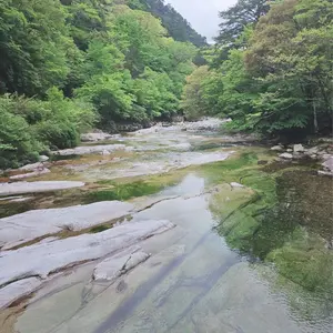 最終値下げGABUGABU THE BITE MONSTER ゴールド　ガブガブ 最終値下げGABUGABU THE BITE MONSTER ゴールド ガブガブ - メルカリ