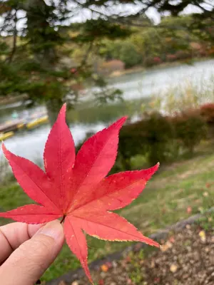 YUHZファンコン ボヒョン 直筆サイン入りチェキ - メルカリ