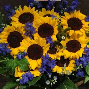 のむayumi hamasaki スタッフジャケット XL&Tシャツ ayumi hamasaki × MFC STORE collaborate T shirt (SHANGHAI LIMITED