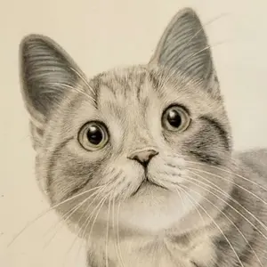 色鉛筆画 絵画 イラスト 原画 A4大(約22cm×30cm) - メルカリ