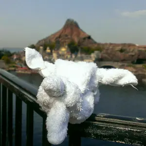 Miburo