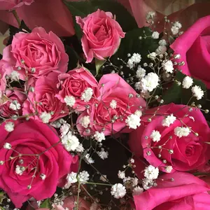 コリンシアン Pro stars select 500 ロビーファウラー - メルカリ