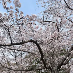 激走戦隊カーレンジャー VOL.1-4〈2枚組〉 DVD 全4巻セット - メルカリ