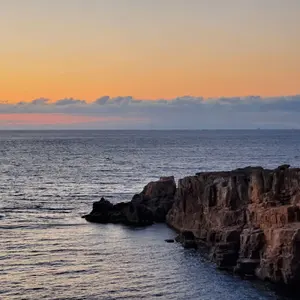 ハスの花（プロフィール確認希望）