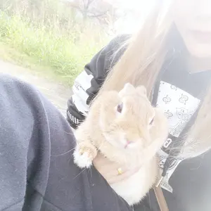 mina✳︎プロフ必読