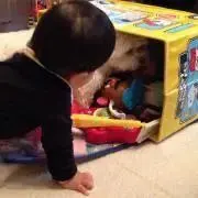 赤ちゃんいるので発送遅れます。