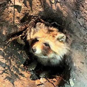 雑貨屋ぬんさん