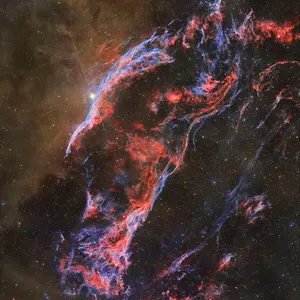 Kodak 3409 ISO16 10本セット Kodak 3409 ISO16 10本セット