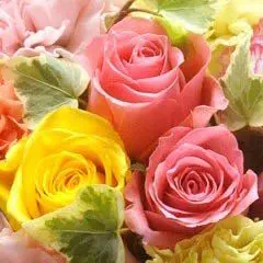 エルセラーン❣️ クレンジング&マッサージクリーム2本セット