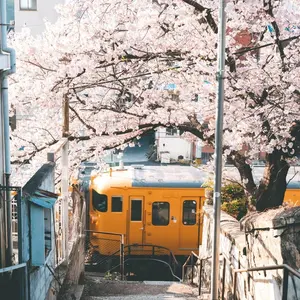 JR西日本 京都電車区 運転時刻表 現行 スタフ 湖西線 113系 新快速