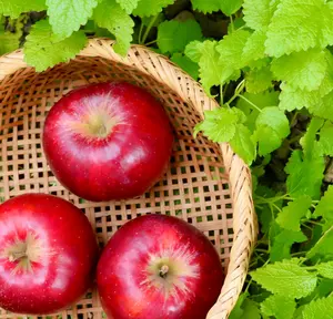 林檎☆必ご購入前プロフィールをご覧下さい