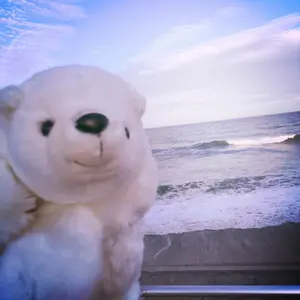 Stray Kids XMAS POPUP ヒョンジン パーカー メンプロ - メルカリ