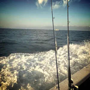 ビンスキー様ご購入 USA製 ブルックスブラザーズ 白 14 1/2-31 - メルカリ