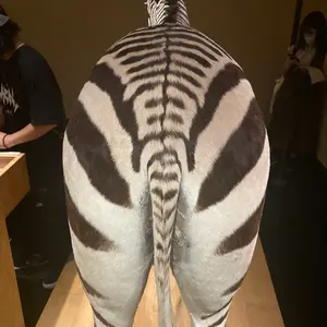 rats ラッツ 希少 レザーベスト ジャーキンベスト サイズM - メルカリ