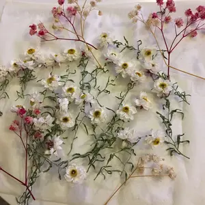 プロジェクトセカイ 神代類 グリッター 缶バッジ 純ブラ 特訓前