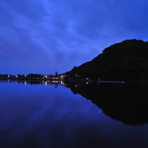 マイ
